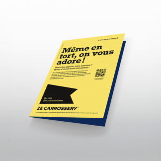 Constat amiable - lot de 100